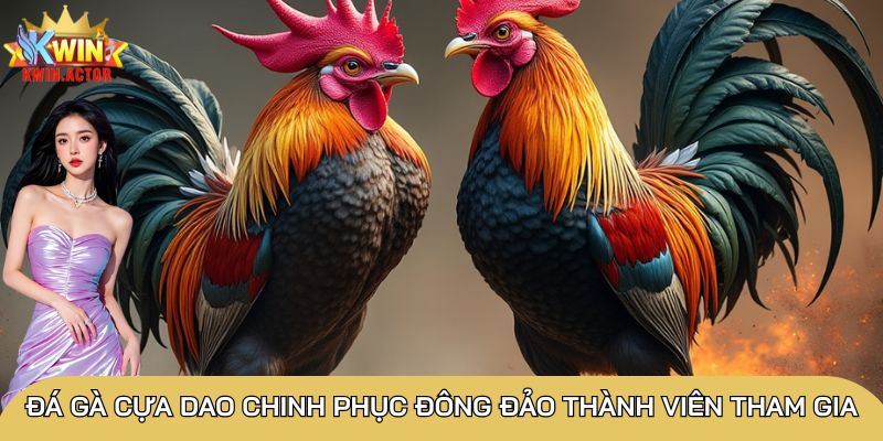Đá gà cựa dao siêu hấp dẫn, 3 cửa cược đơn giản nhất 1 Đá gà cựa dao chinh phục đông đảo thành viên tham gia